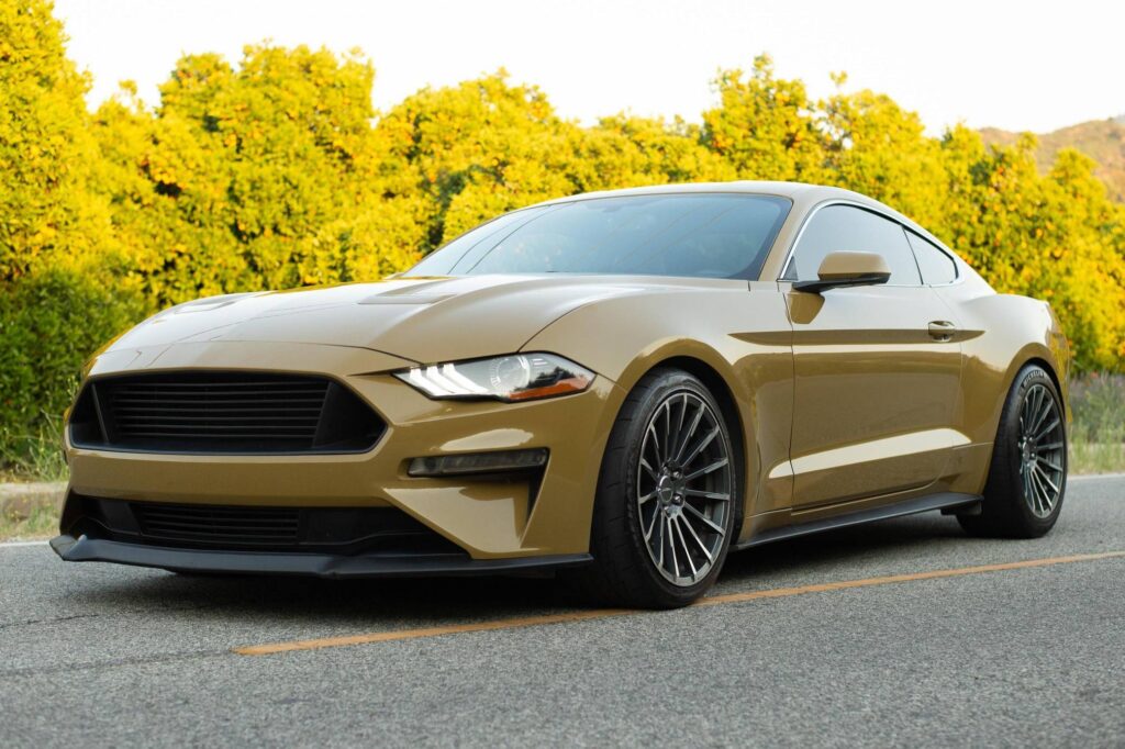 Mustang Gold
