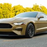 Mustang Gold