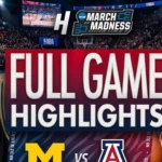 Michigan vs Arizona Match Stats